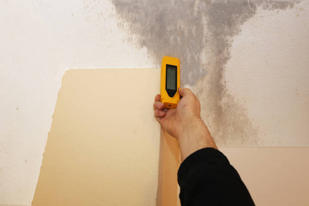 Best Dehumidification Services  in Warren, MI
