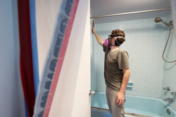 Trusted Warren, MI Mold Removal Experts
