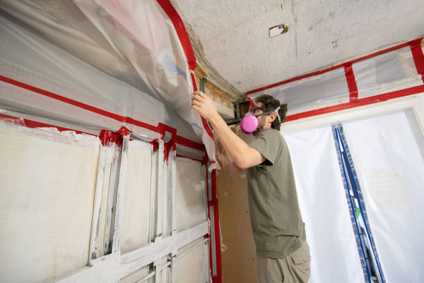 Best Mold Remediation for Healthcare Facilities  in Warren, MI