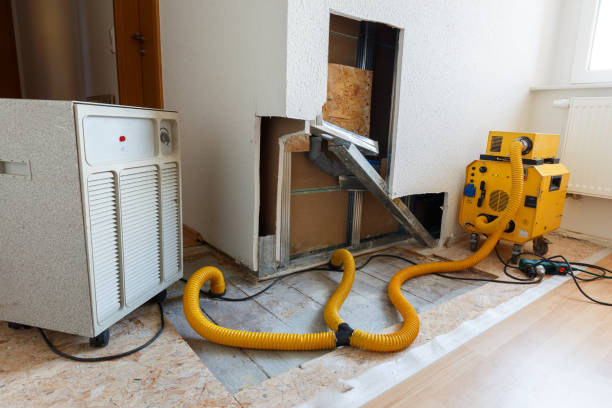 Best Real Estate Mold Inspection  in Warren, MI