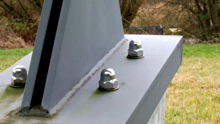 Best Commercial Mold Inspection  in Warren, MI